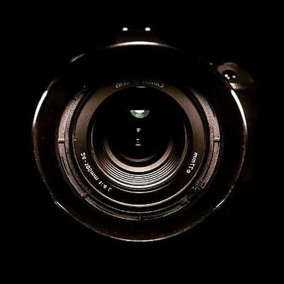 SSD PHOTOGRAPHY profile