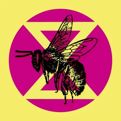 Extinction Rebellion (XR) profile
