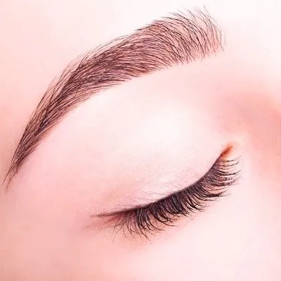 EyebrowTracer profile
