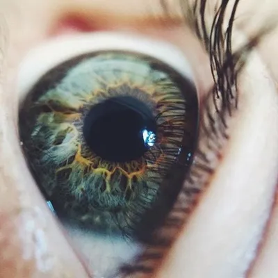 eyes & more profile