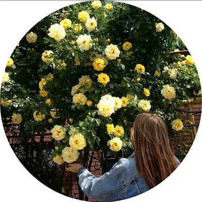 F A T M H ๐ฆ. profile