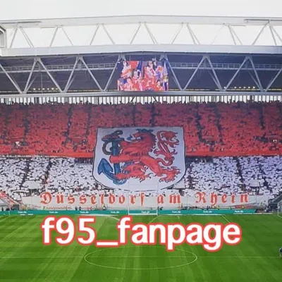 Fortuna Düsseldorf⚽️ profile