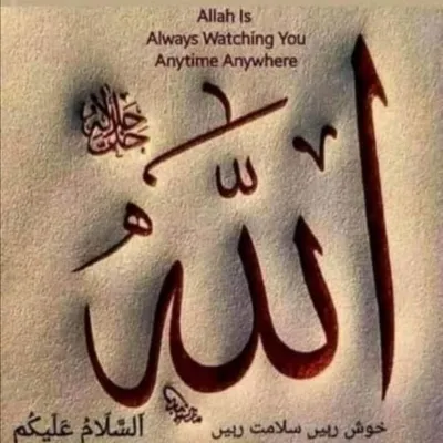 fabeehanoor profile
