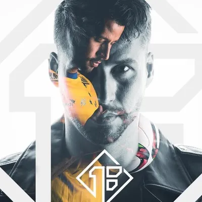 Fabio Goleiro profile