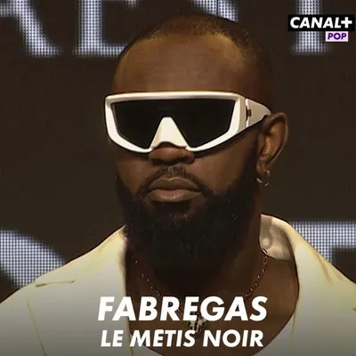 Fabregas Le Métis Noir profile