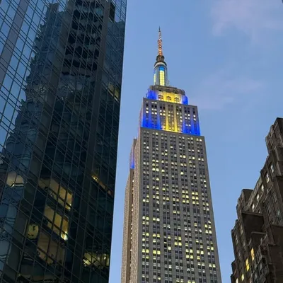 NYC Blogger profile