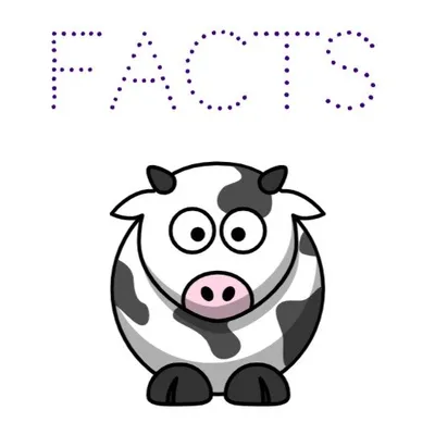 fact mac profile