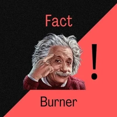 Fact Burner profile