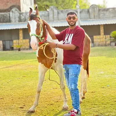 Faizan Shaikh profile