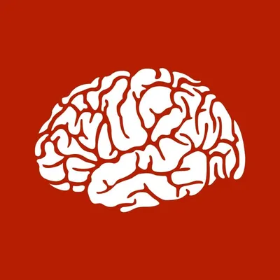 Faktastisch - Das Original profile
