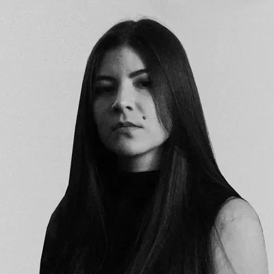 Falchi profile