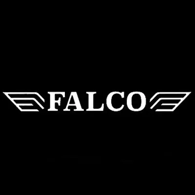 Falco_racing profile