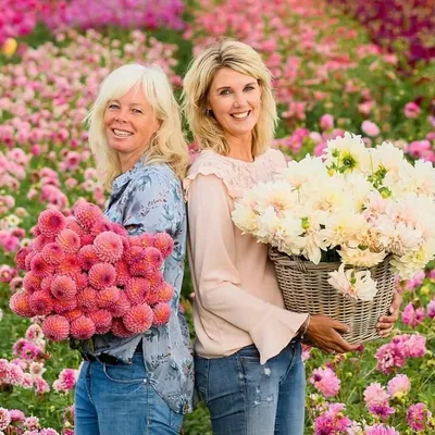 FAM Flower Farm profile
