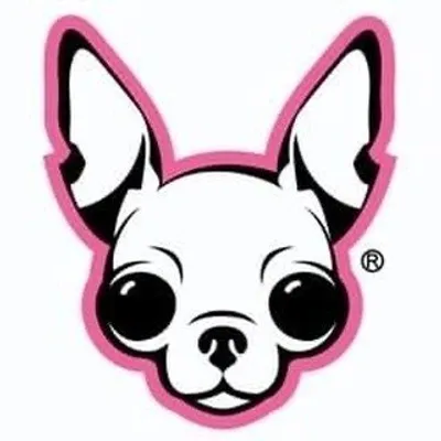 famous chihuahua profile