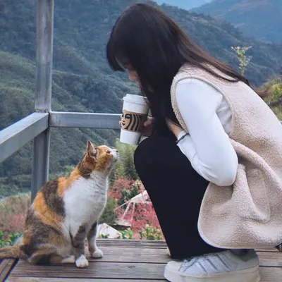 方糖🐨 台中美食|新竹美食|高雄美食|台南美食|台北美食 profile
