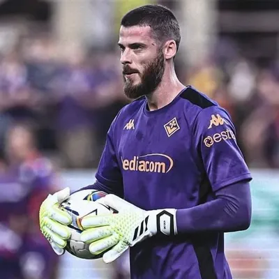 David De Gea profile