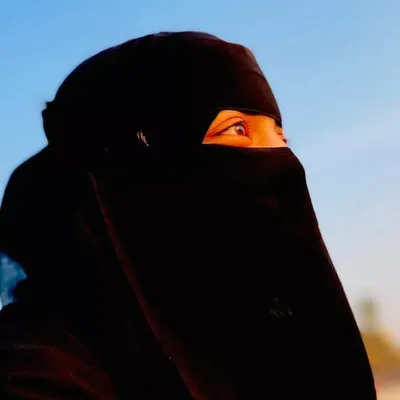 فرحت فرو شيخ profile