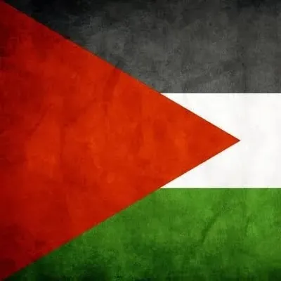 فرمان علی ƑarϻaŇ♛ profile