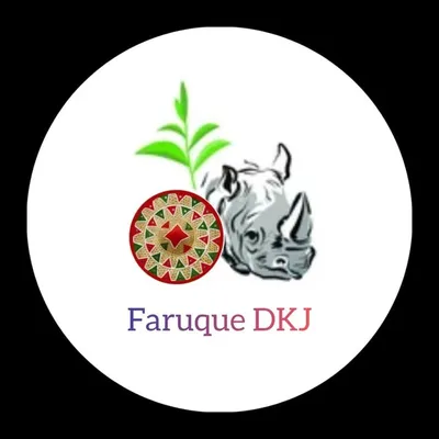 Faruque DKJ profile