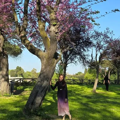 Faryal Mehmood ✨️ profile