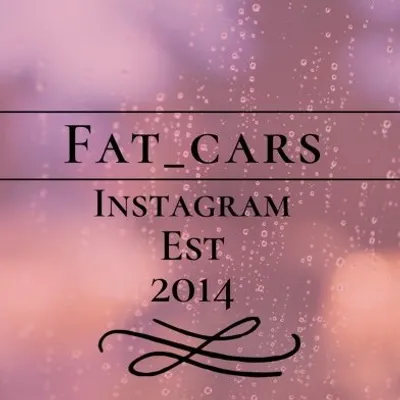 Fat cars profile