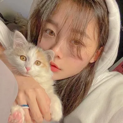 고양이 profile