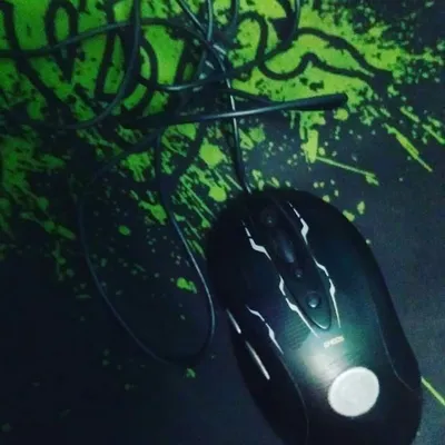 Gamer profile