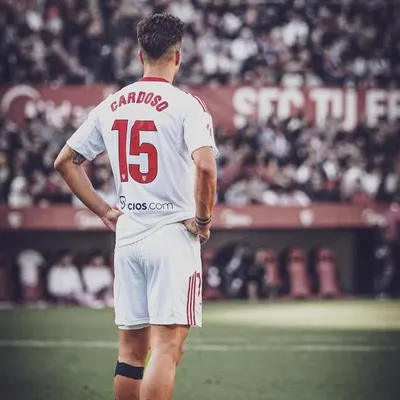Fábio Cardoso profile