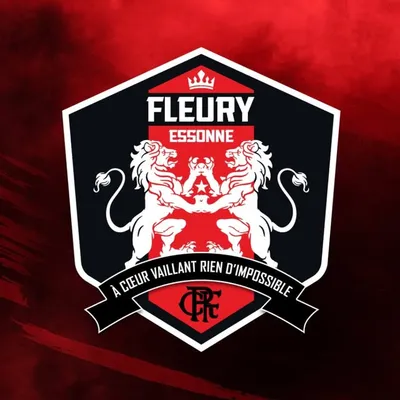 FC FLEURY 91 profile