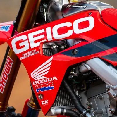 GEICO Honda profile