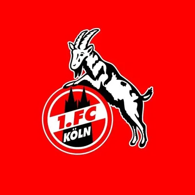 1. FC Köln profile