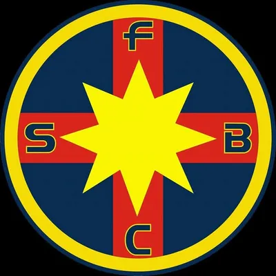 FCSB profile