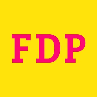 FDP Baden-Württemberg profile