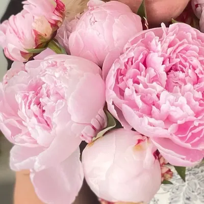 #featuremyflorallove profile