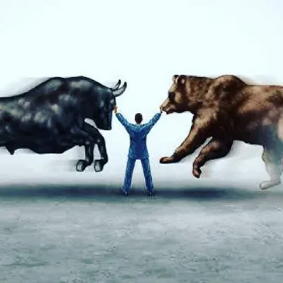 Stock Market India profile
