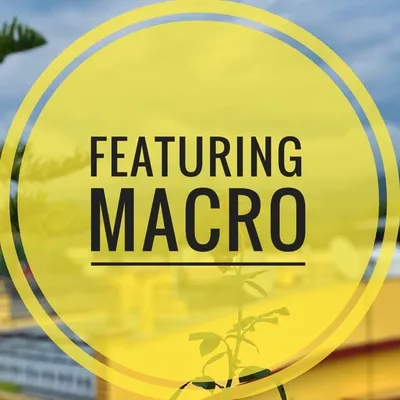 FeaturingMacro profile