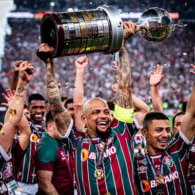Felipe Melo profile