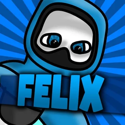 FelixGaming profile