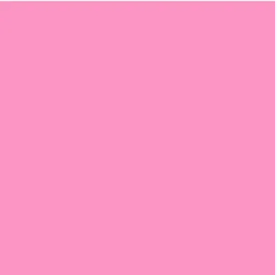 FEMINISTRAMPOS profile