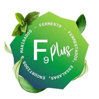 Ferment 9 PLUS - Fermentados, Encurtidos, Marinados y Ensaladas profile