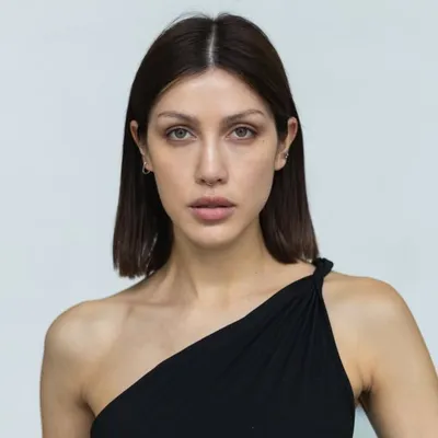 Fer alvear profile