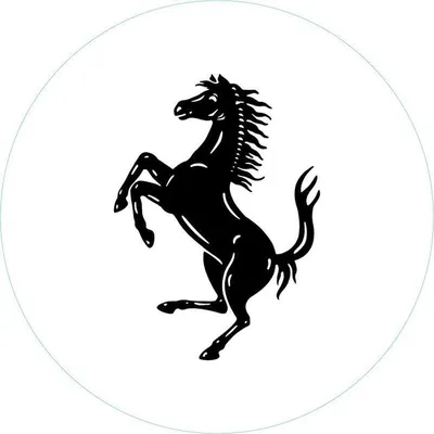 Ferrari Australasia profile