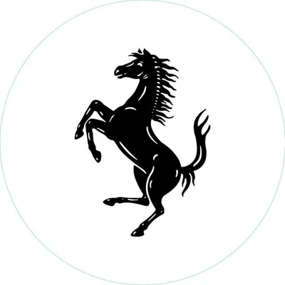 Ferrari USA profile
