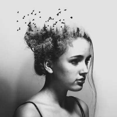 Annegien profile