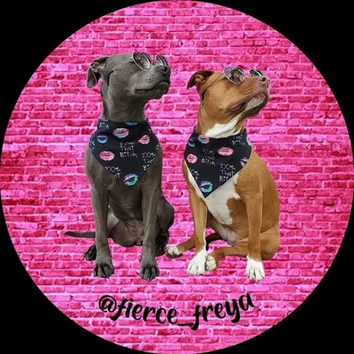 FREYA & NEELA profile