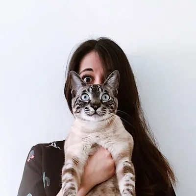 ANA FIG ☾ profile
