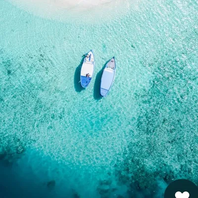 Fiji Journal profile