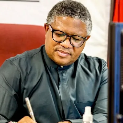Fikile Mbalula: ANC SG profile