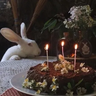 fille du soleil *.♡₊˚*. profile