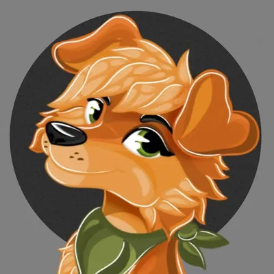 Findustagram profile